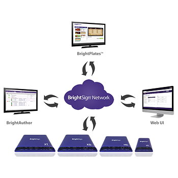 BrightSign - BSN Network Pass 12 månader