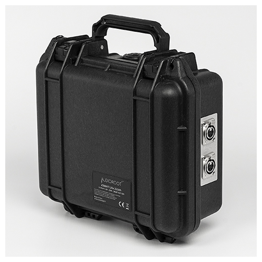 Audioroot - eSmart LiFe-256Wh