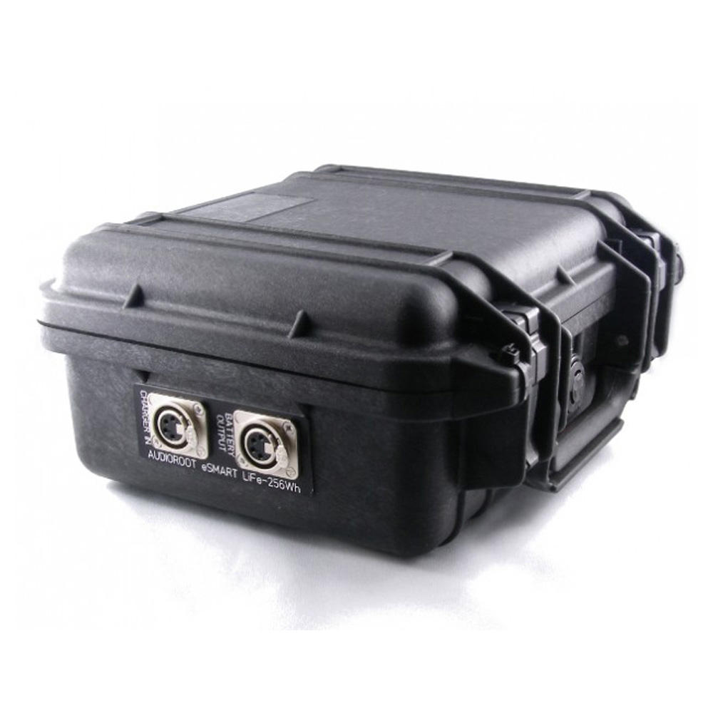 Audioroot - eSmart LiFe-256Wh - 2