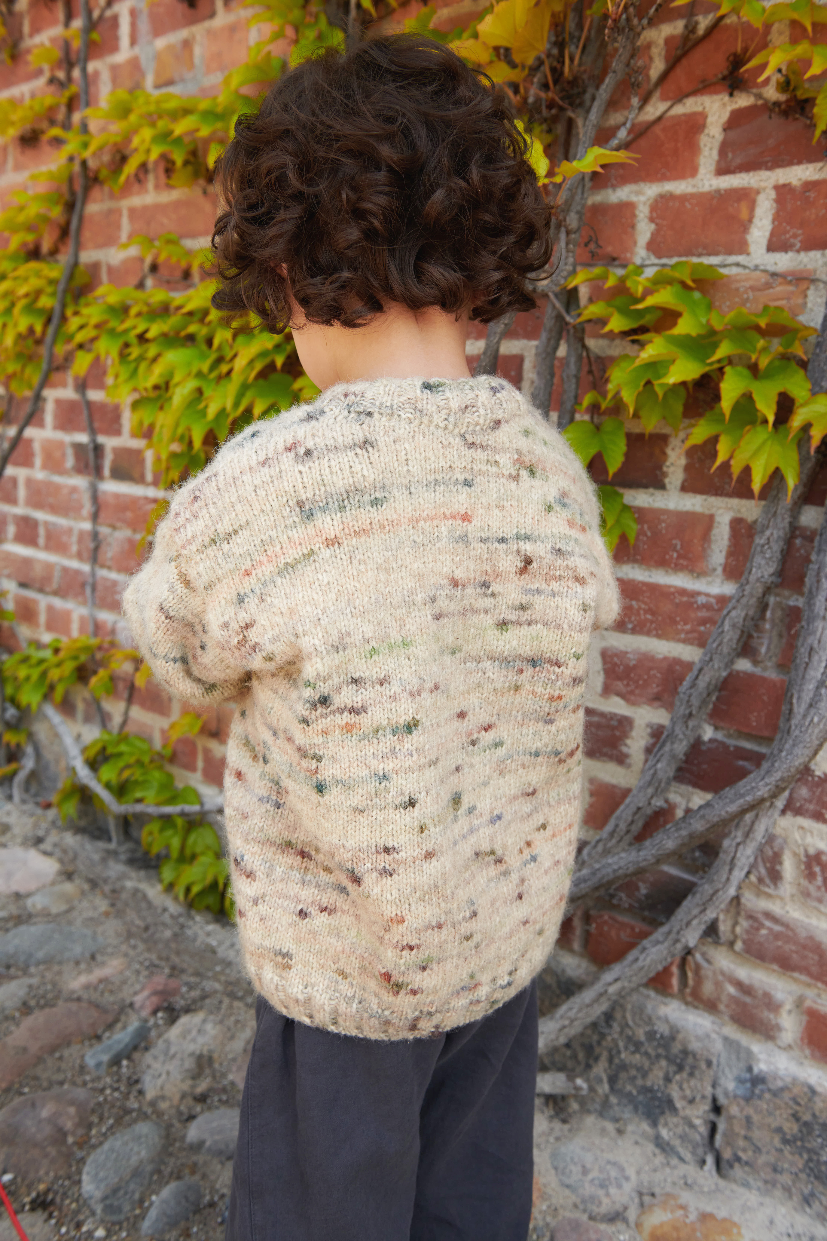 Dave Sweater Junior | Poppy - 4