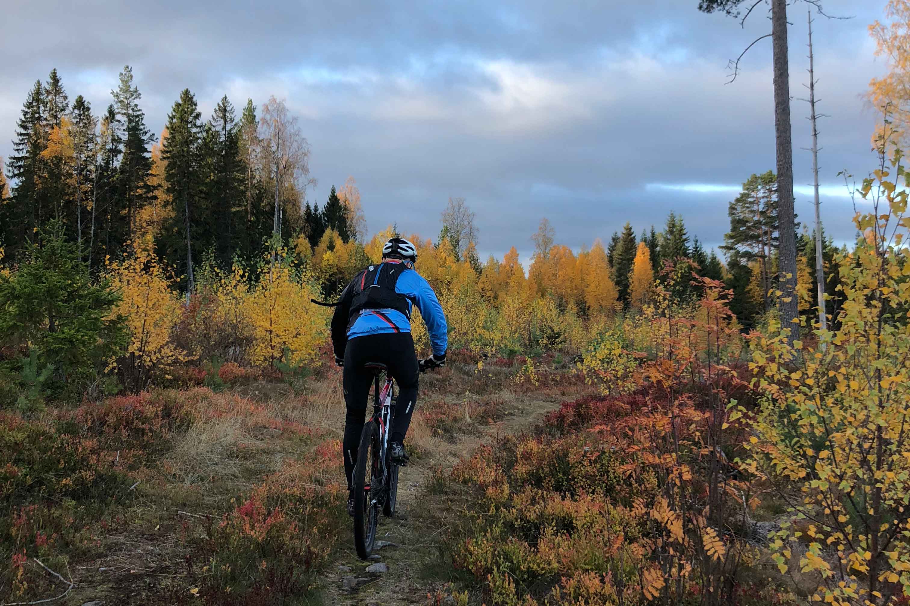 TESTSLINGOR Provcykla i rätt miljö! 