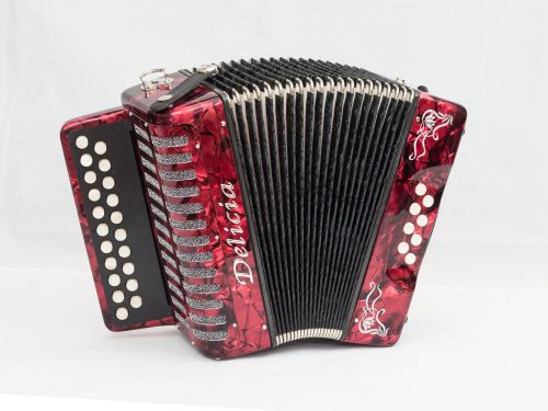 Delicia - Popular 1904