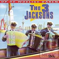 Op de woelige baren