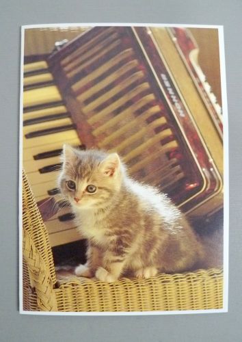 Greeting Card
