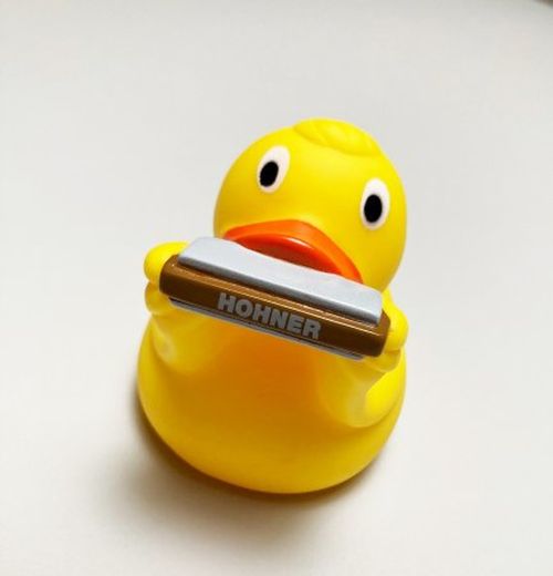 Hohner - Badanka - 3