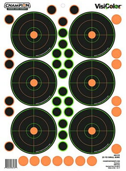 Champion 25 Yd VisiColor Sm Bore 5Pk W/90 Pastors