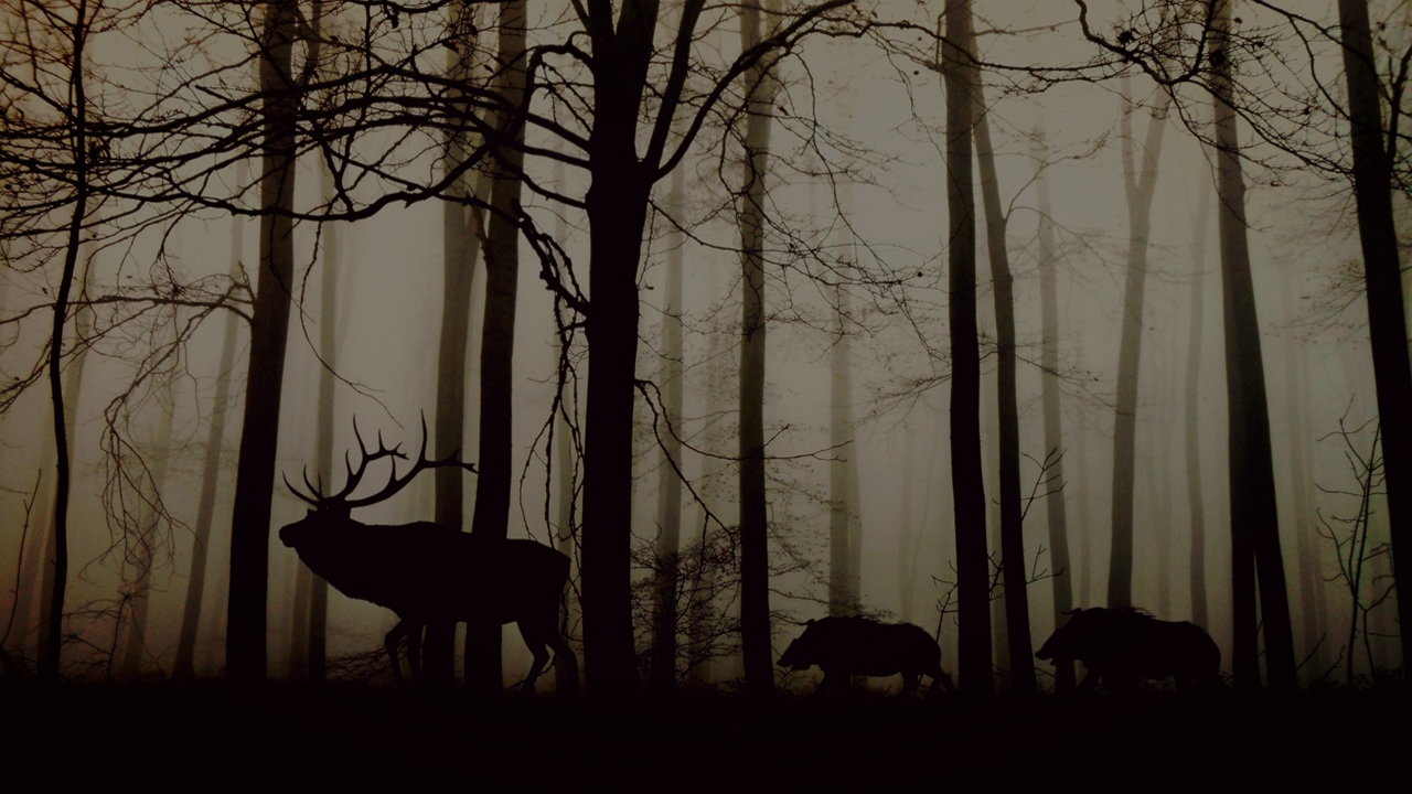 Utförsäljning  Fantastiska erbjudanden