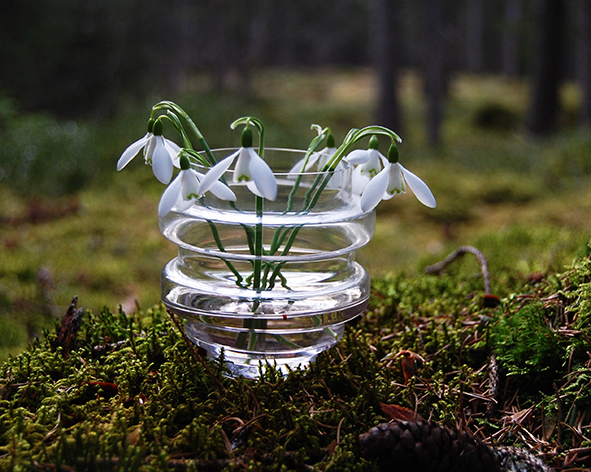  VAKO Träd 100- liten glasvas  - 4