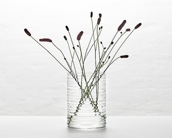 MYR 210-glass vase