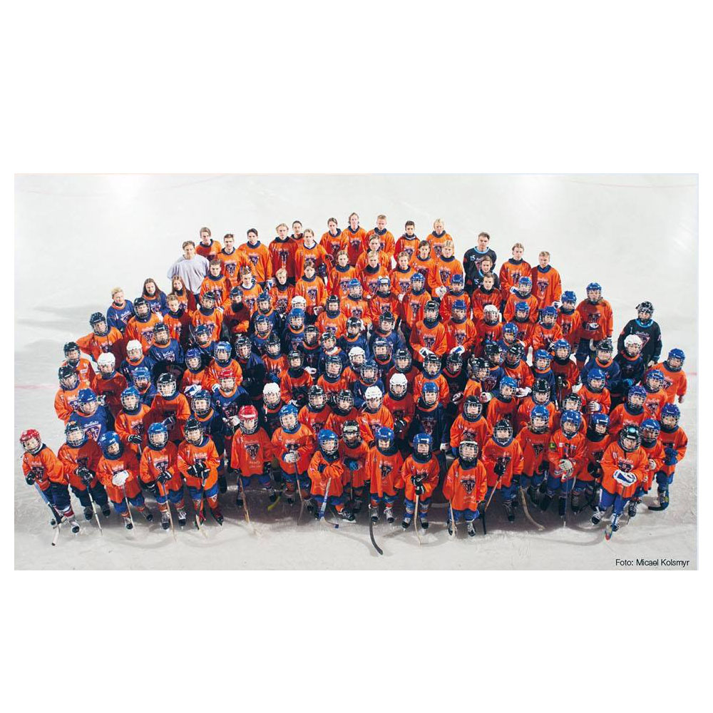 Medlemsskap i Bollnäs Bandy säsongen 2026/2027