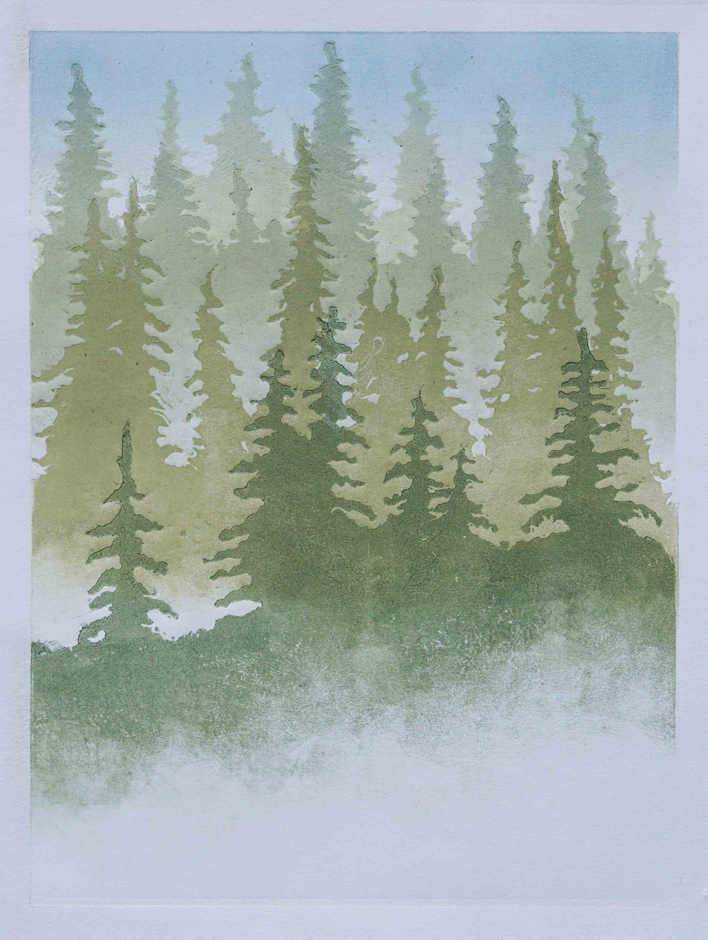 Dis i granskog
