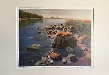 Havblikk og fjære Sjø ved Svartskjær