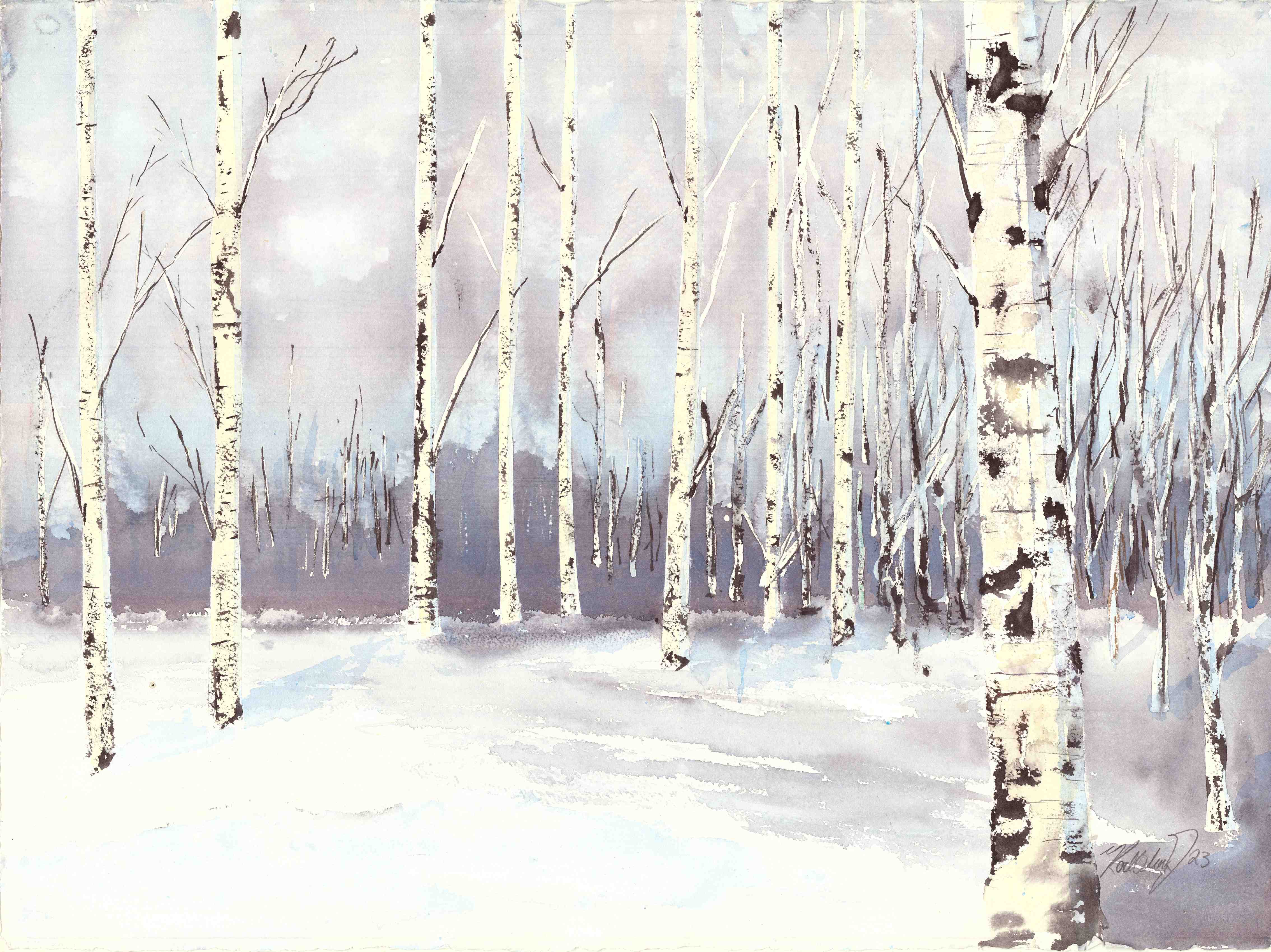 Bjørkeskogen