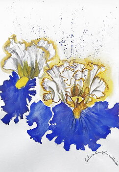Blomsterstøv