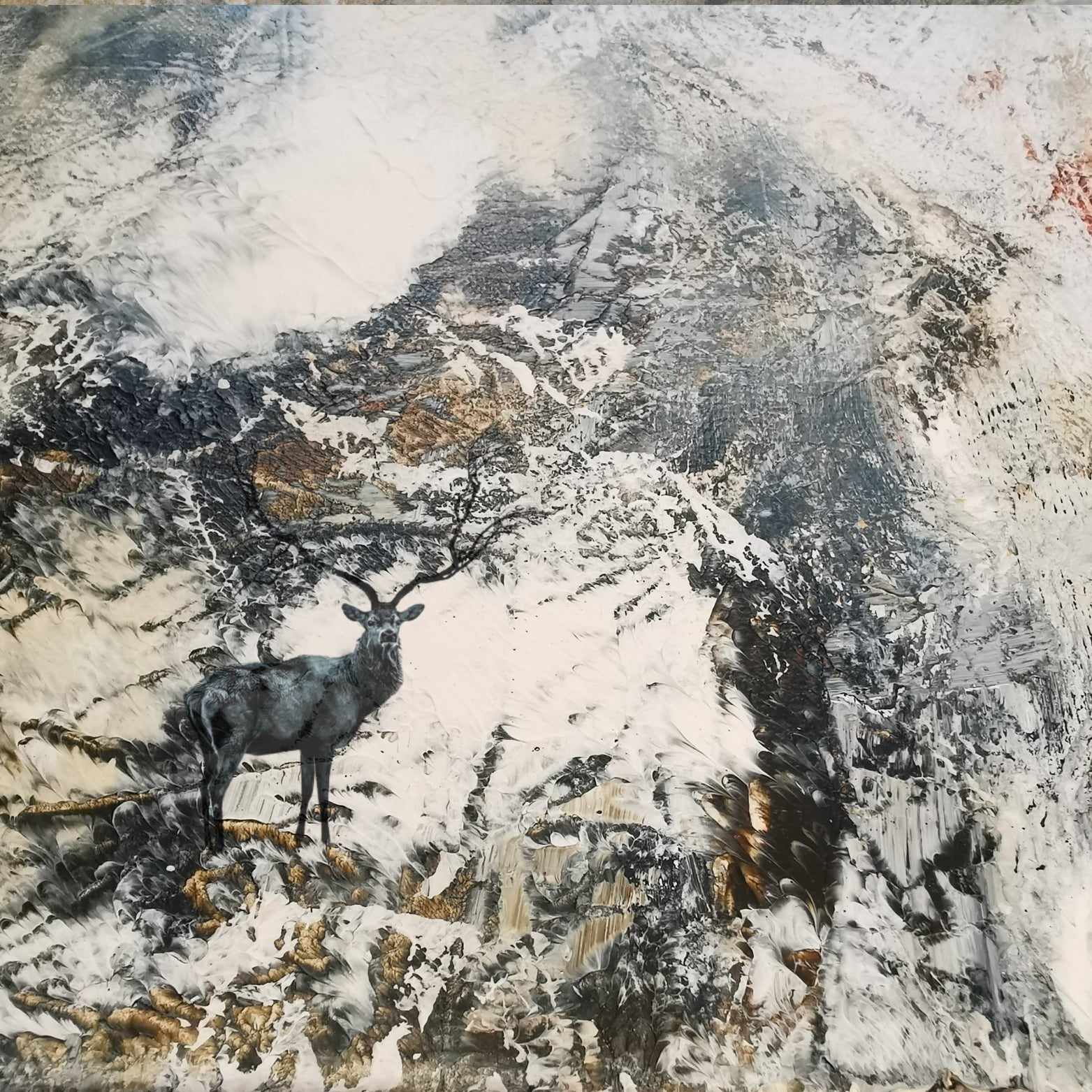 På vandring i fjellheimen
