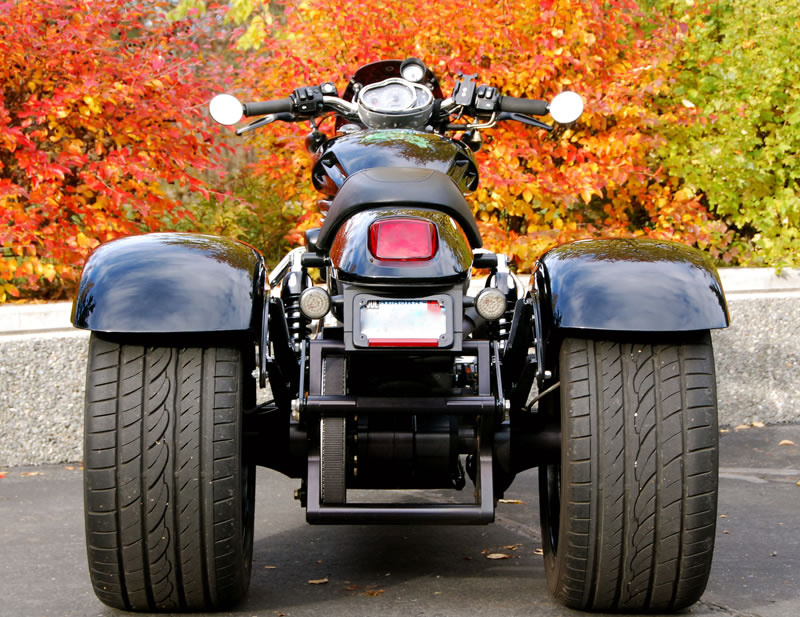 Frankenstein trike kit - 7
