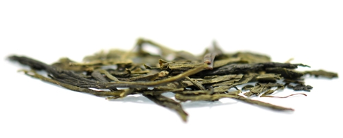 SENCHA