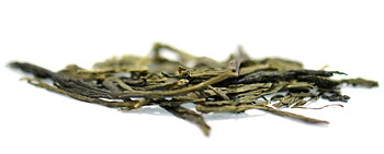 SENCHA