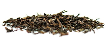 DARJEELING MARYBONG