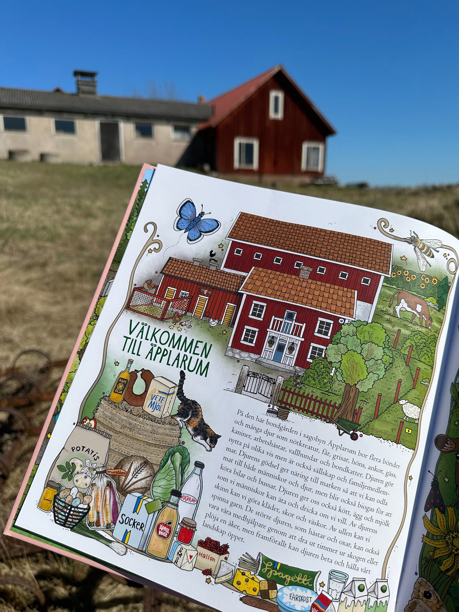 Mina första bondgårdsdjur - 6