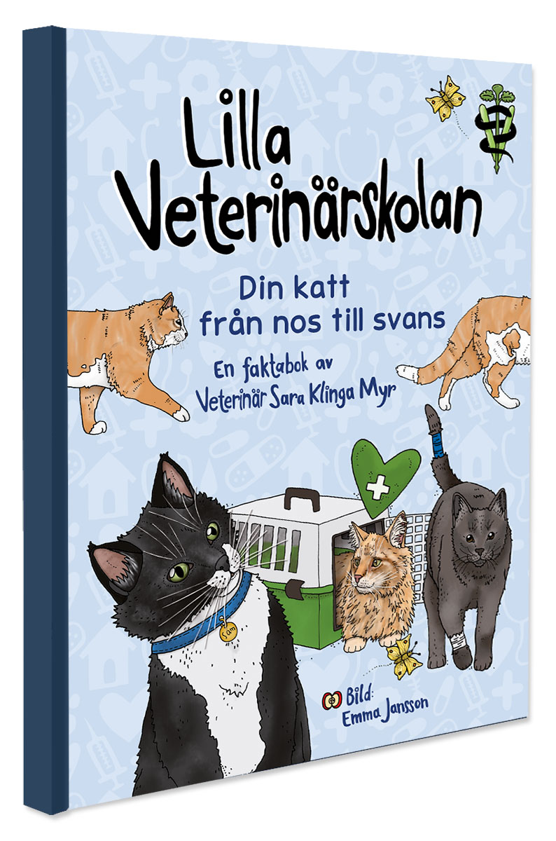 Lilla veterinärskolan - Din katt från nos till svans