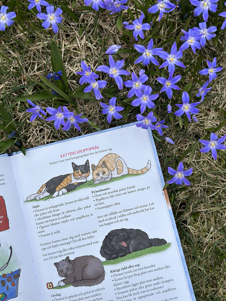 Lilla veterinärskolan - Din katt från nos till svans - 4