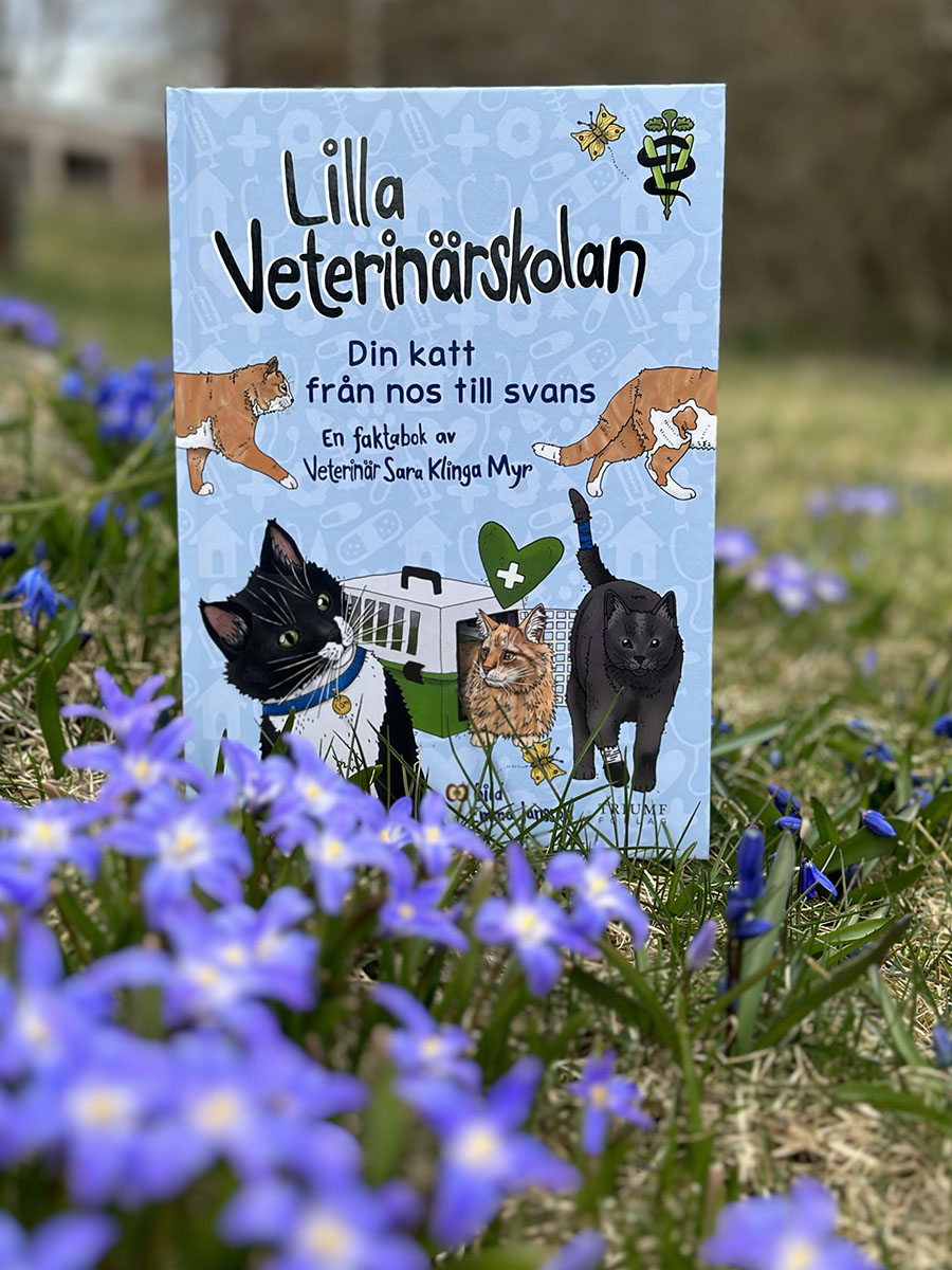 Lilla veterinärskolan - Din katt från nos till svans - 3