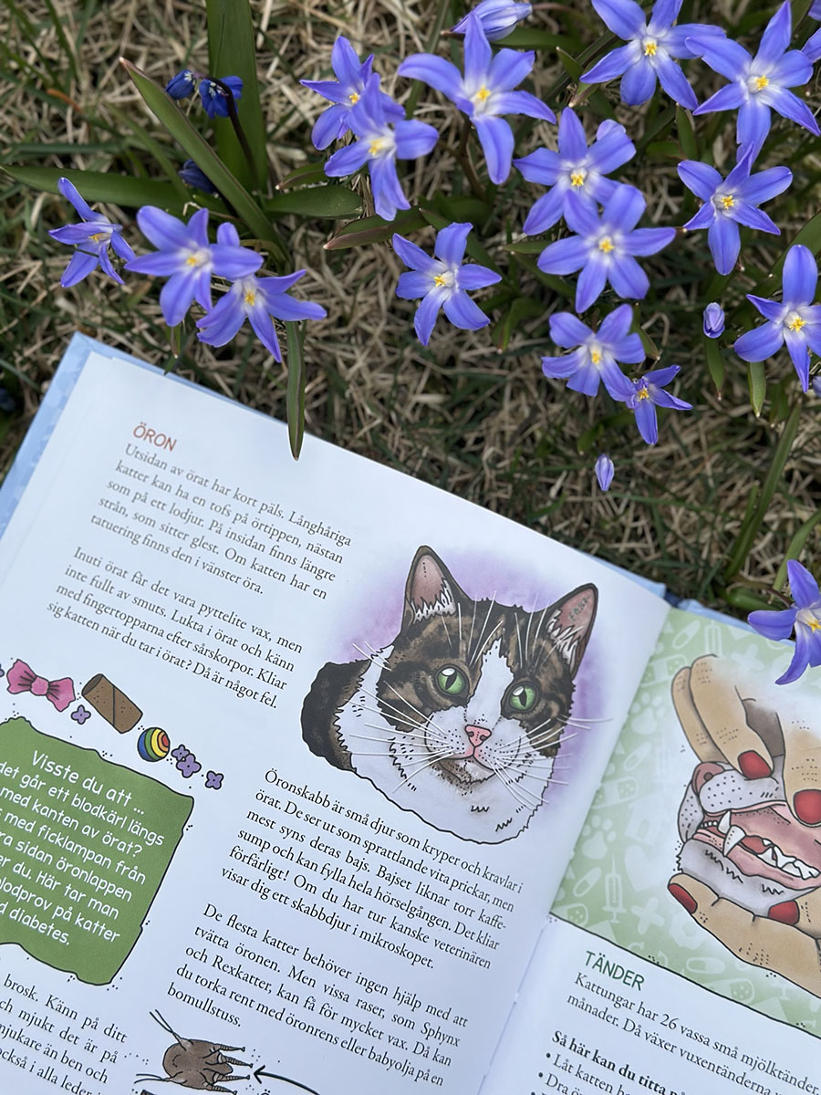 Lilla veterinärskolan - Din katt från nos till svans - 5