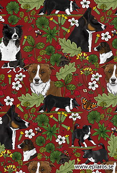 Vykort 10x15 cm Border colliemönster