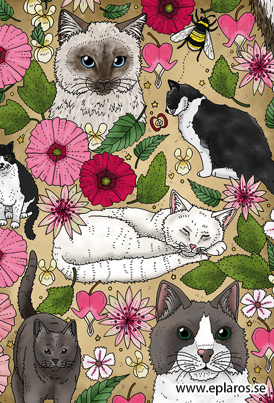 Vykort 10x15 cm Katter