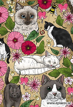 Vykort 10x15 cm Katter