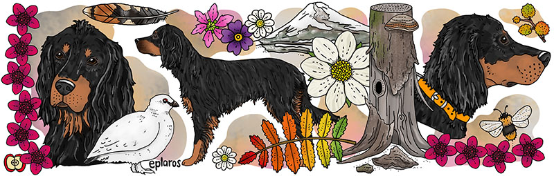 Emaljmugg - Gordon setter - 3