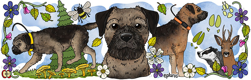 Emaljmugg - Border terrier - 3