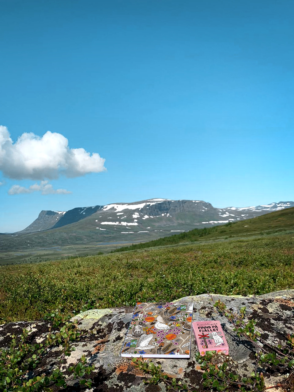 A5 Spiralblock Fjäll - 2