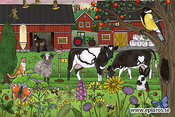 Vykort 10x15 cm Betesmark