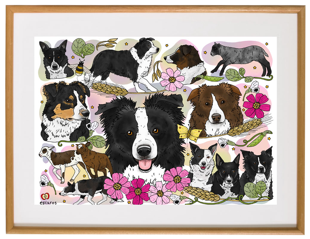 Affisch Border collies och rosenskäror, 30x40 cm