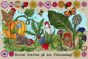 Vykort 10x15 cm Hurra! Höns!