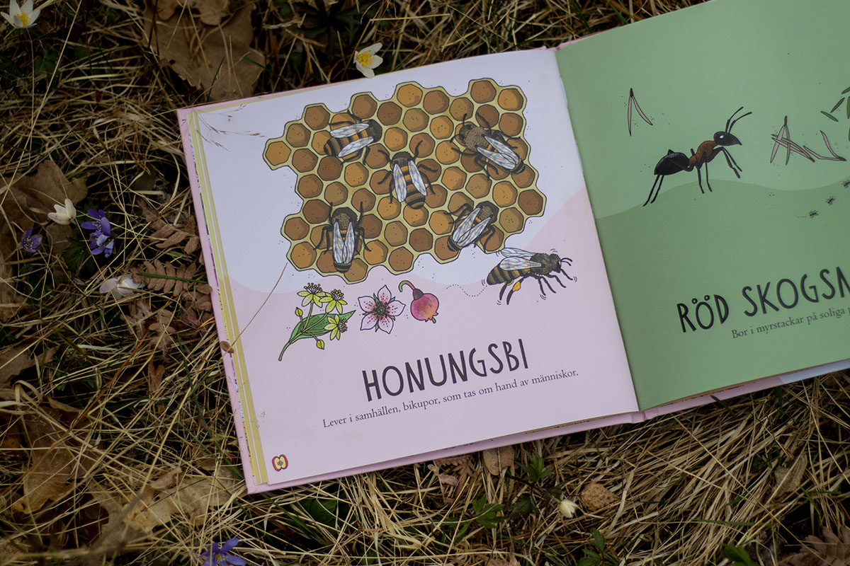 Pekbok - Insekter - 4