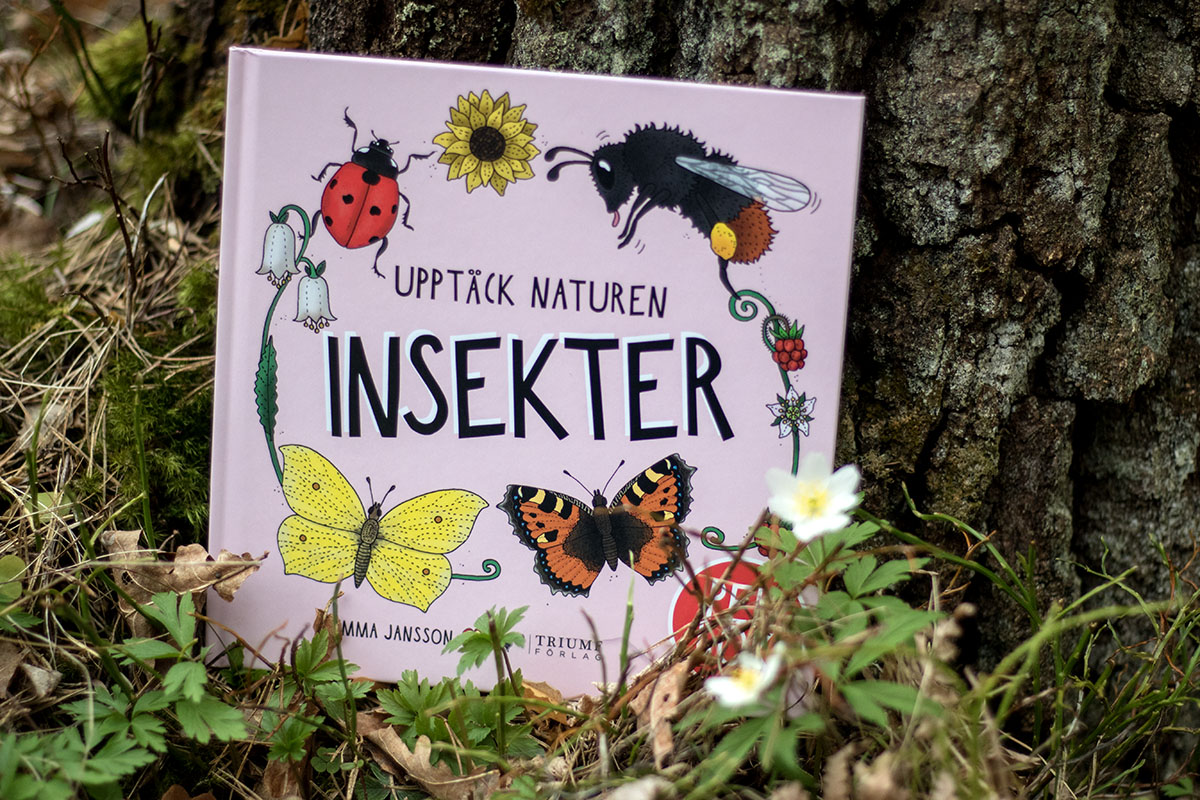 Pekbok - Insekter - 2