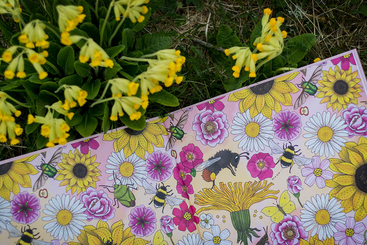 Pekbok - Insekter - 6