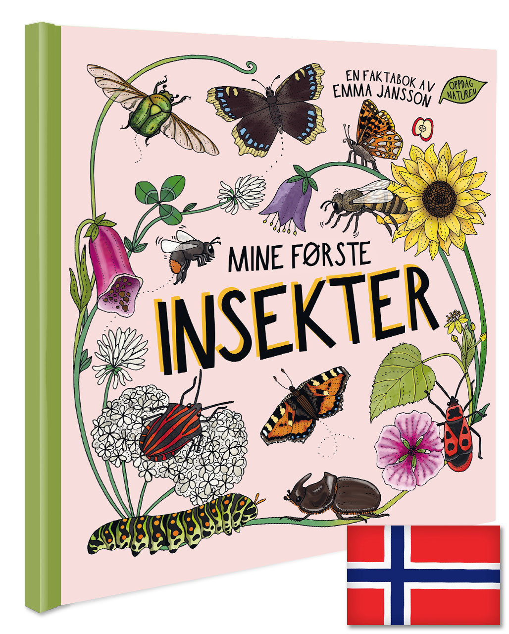 Mine første insekter - Norska!