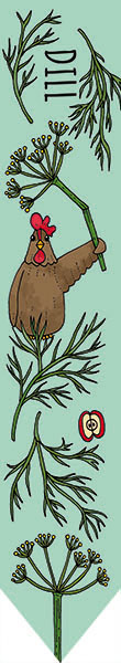 Odlingspinne - Dill