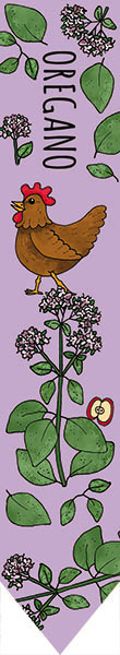 Odlingspinne - Oregano