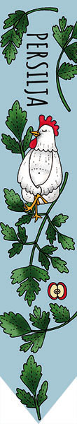 Odlingspinne - Persilja