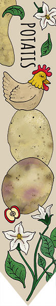 Odlingspinne - Potatis