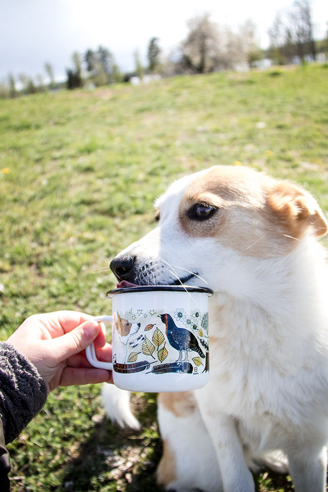 Emaljmugg - Norrbottenspets - 3