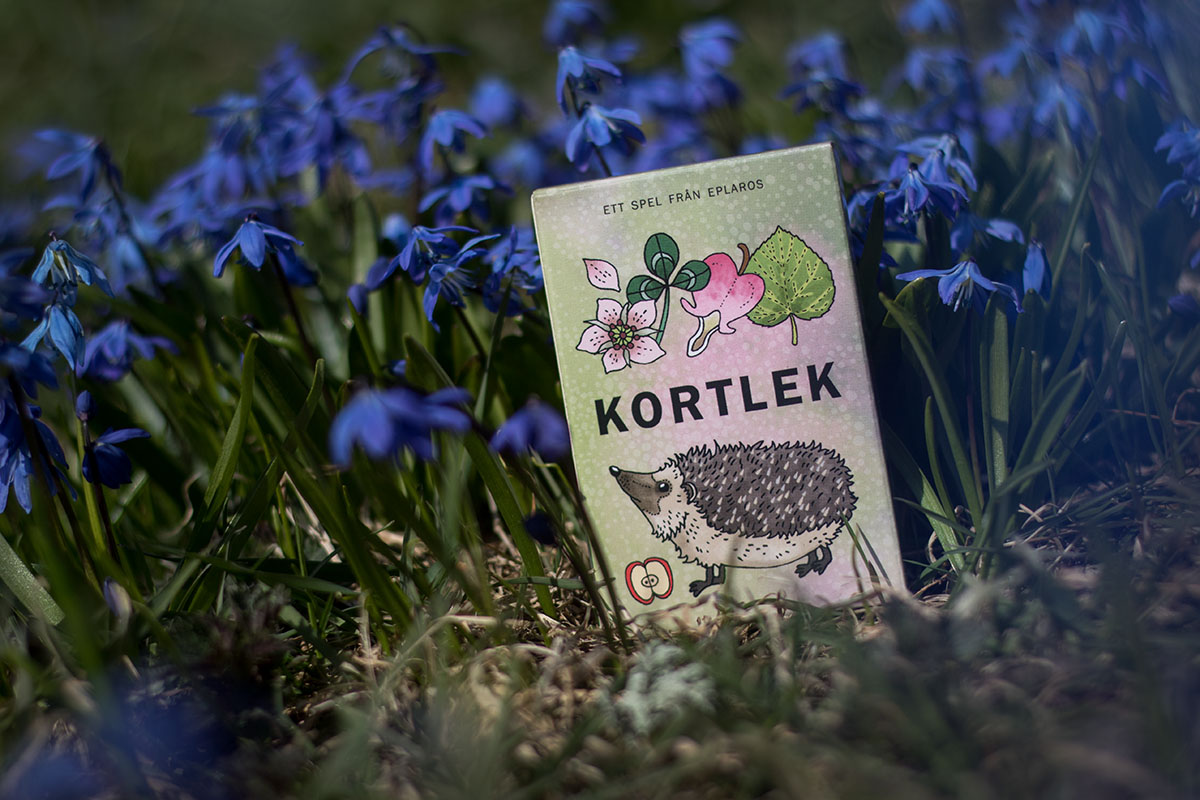 Kortlek (igelkotten) - 2