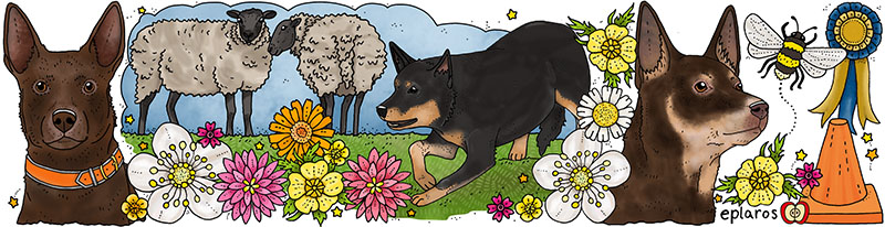 Emaljmugg - Kelpie - 2