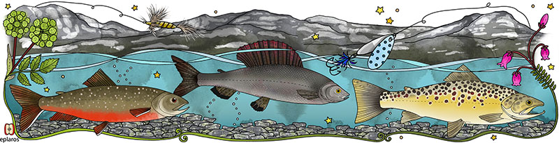 Emaljmugg - Fjällfiske - 6