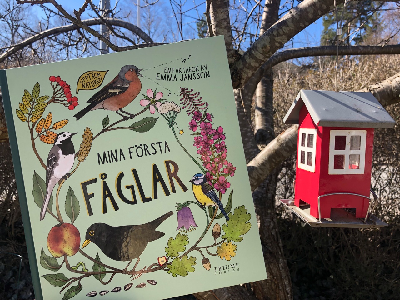 Mina första fåglar - 3